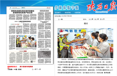 BJL平台西北集团珑樾府项目高温慰问——《陕西日报》
